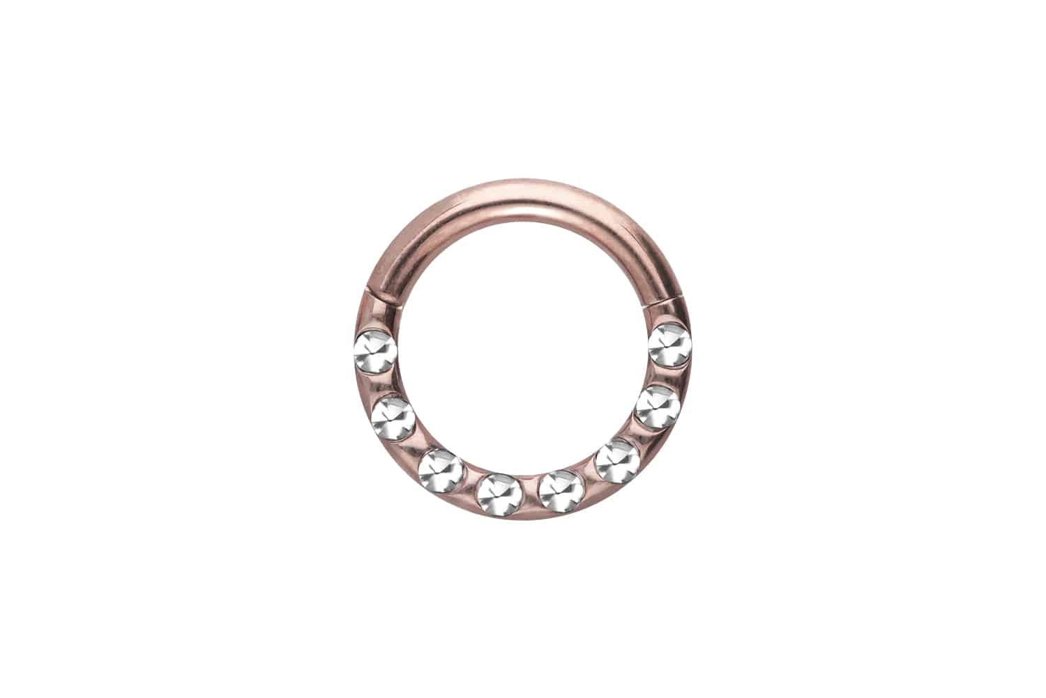 Titan Segmentring Clicker Piercing KRISTALLE + EPOXY